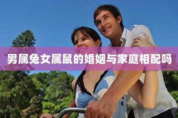 女兔男鼠的婚姻走向：合适与不合适的真实考量