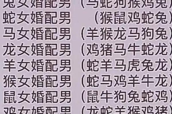 女兔男鼠的婚姻走向：合适与不合适的真实考量