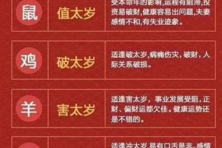 出生属什么生肖运势分析