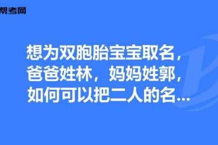 为双胞胎宝宝挑选独特名字的创意指南