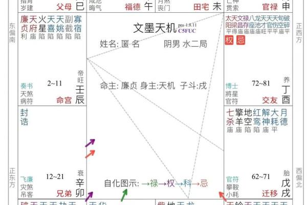 紫薇斗数和八字命理的准确性对比