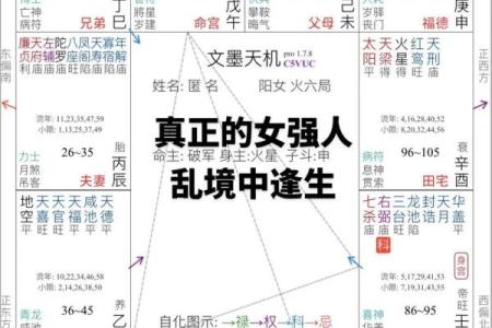 紫薇斗数和八字命理的准确性对比