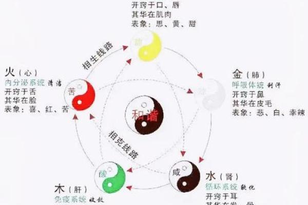 八字命理中如何解读五行的相生相克关系