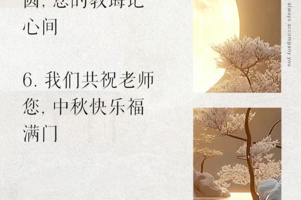 庆典汇聚：从中秋到教师节的温馨时光