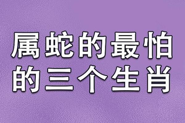 属相相冲的深层次心理解读