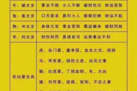 属相相冲的禁忌与避免方法