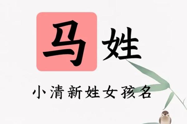 给马姓宝宝起个有意义的名字