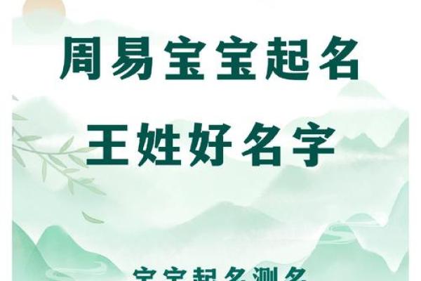 王姓宝宝起名推荐：如何为宝宝选择一个寓意深远的名字