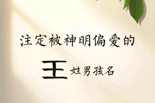 王姓宝宝起名推荐：如何为宝宝选择一个寓意深远的名字