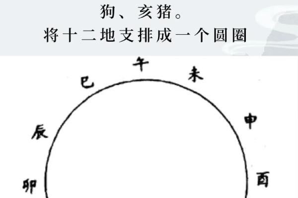 属相相冲能否通过调整性格弥补