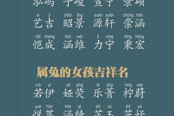 免费宝宝名字大全，寓意吉祥与幸福