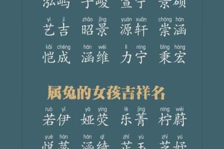 免费宝宝名字大全，寓意吉祥与幸福