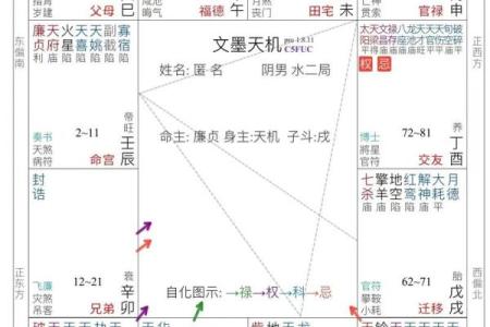 紫薇斗数与八字预测对比分析