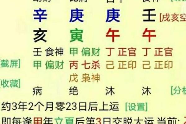 揭秘免费查八字流年运势的技巧与步骤