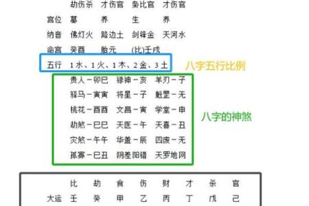 八字排命盘软件解析与选择指南