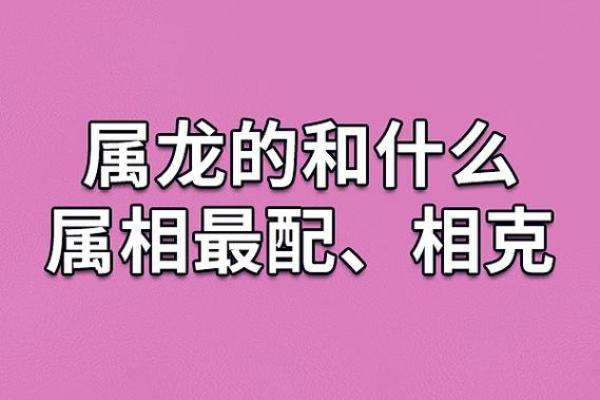 属鼠与生肖冲煞的关系及注意事项