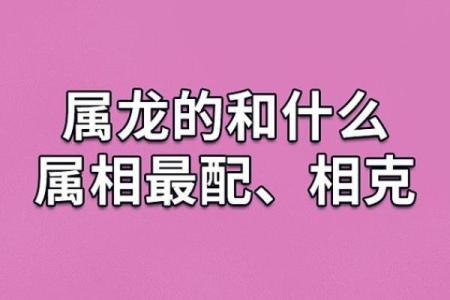 属鼠与生肖冲煞的关系及注意事项