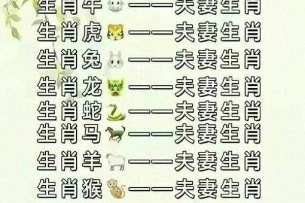 属相相冲的生肖配对禁忌