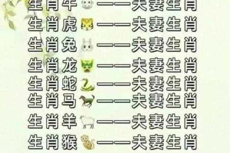 属相相冲的生肖配对禁忌