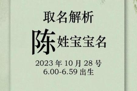 为陈姓鸡年宝宝挑选独特而有意义的名字