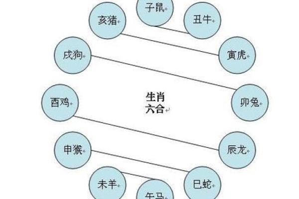 属相相冲与社会关系的密切联系