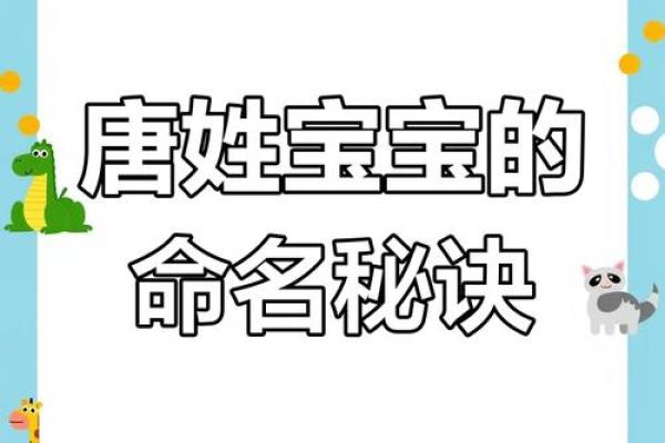 唐姓宝宝起名：传统与现代结合的最佳选择