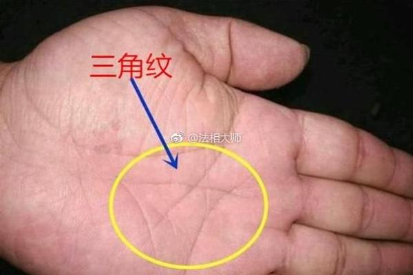 道士对应的生肖是什么？揭秘道士与生肖的关系