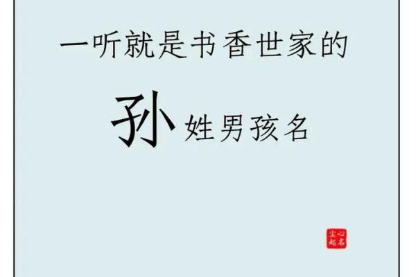 孙姓宝宝命名建议：为鸡宝宝起个与众不同的名字