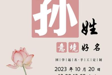 孙姓宝宝命名建议：为鸡宝宝起个与众不同的名字