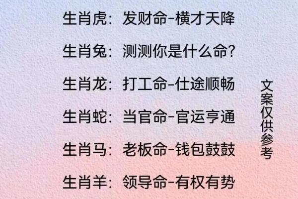 生肖日历：探索十二生肖背后的文化与命运