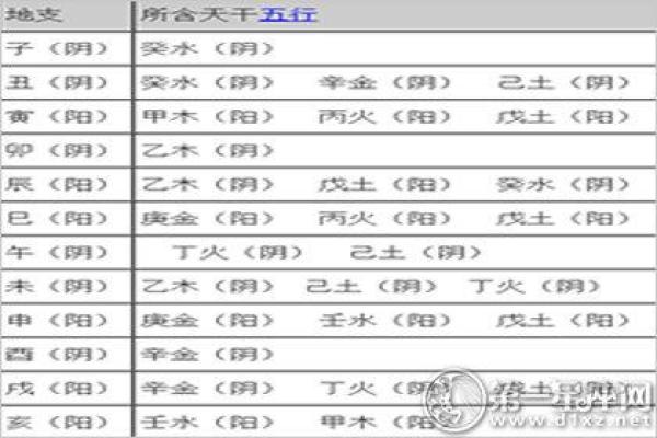 交际花八字揭秘：命运如何塑造社交达人之路