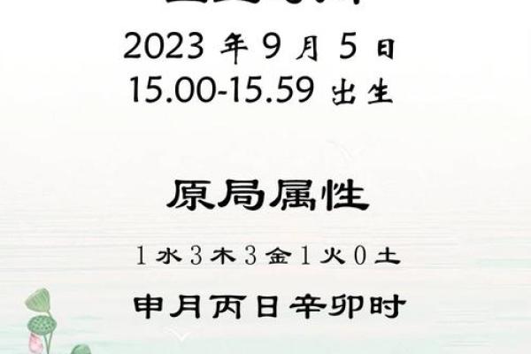 宋姓男孩取名推荐：独特有寓意的鸡年宝宝名字解析