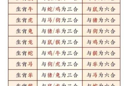 十二生肖与五行的对应关系解析与应用