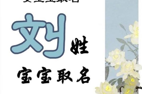 刘姓女宝宝起名技巧与建议 精选好听有寓意的名字