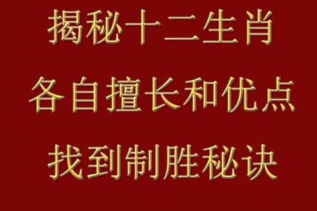 相指对应的生肖是什么？揭秘背后的生肖含义