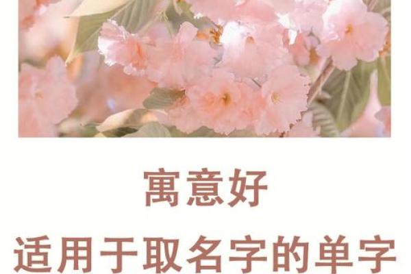 为鸡年土缺女宝宝挑选寓意深远的名字