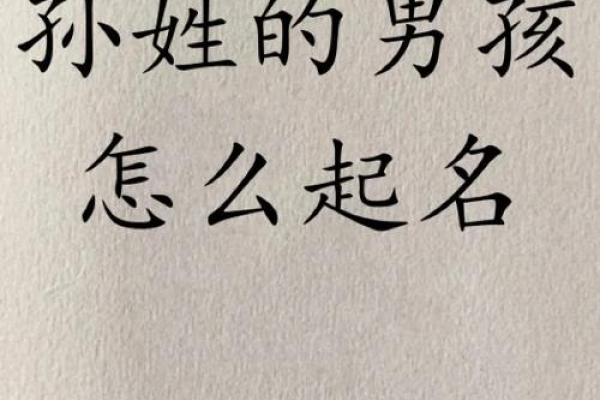 为孙姓鸡宝宝挑选一个既有特色又有美好寓意的名字