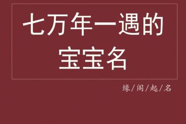 为孙姓鸡宝宝挑选一个既有特色又有美好寓意的名字