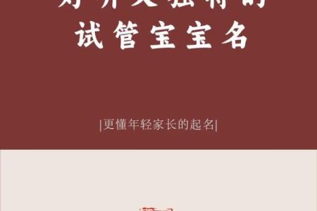 双胞胎宝宝起名灵感：打破常规，创造独特组合