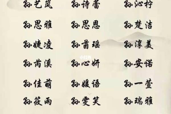 孙姓鸡宝宝起名指南：吉利与寓意兼具的名字推荐