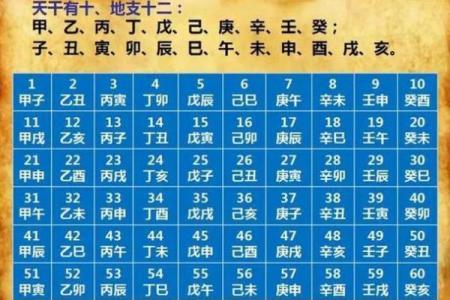 免费算八字，揭示你的人生运势走向