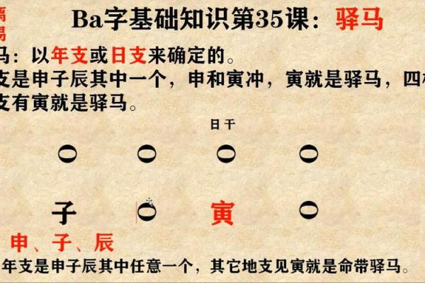 八字自学视频教程全套指南，轻松掌握命理基础与进阶技巧