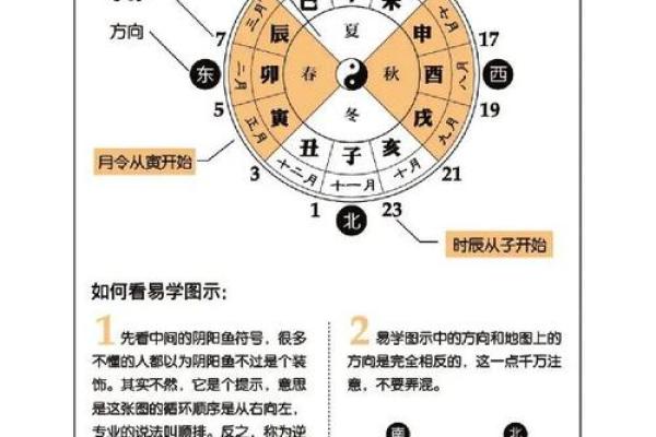 八字自学视频教程全套指南，轻松掌握命理基础与进阶技巧