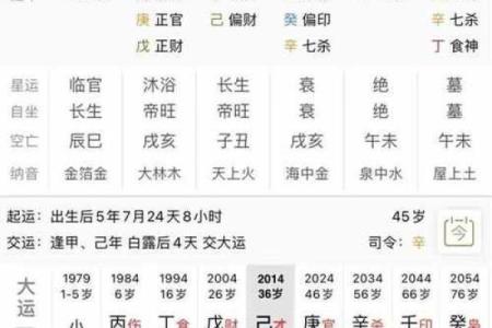 八字案例剖析：从命盘看人生运势的深层解析