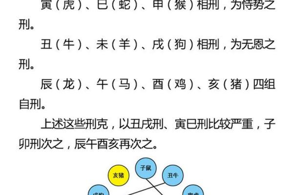 十二生肖相冲的深层含义与化解方法