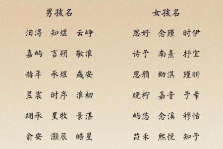 李苏姓宝宝起名宝典：如何挑选好听且有意义的名字