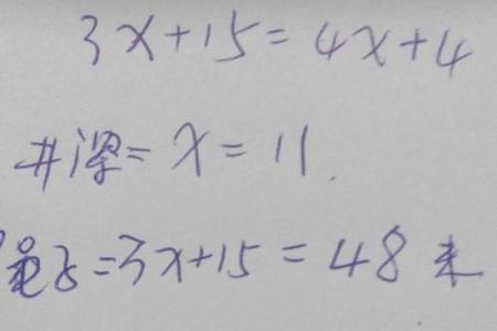 井字与生肖的关联深度解析