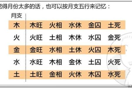 孙女宝宝八字命理解析与起名技巧指南