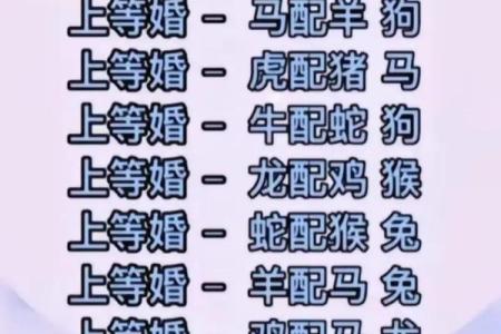 电话代表什么生肖？解密十二生肖与电话的神秘联系