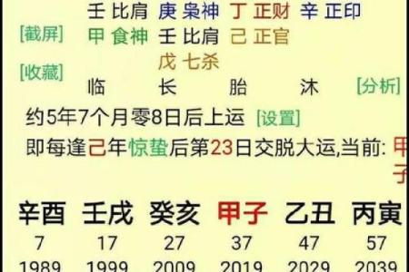 免费八字命理分析，精准揭示你的运势变化